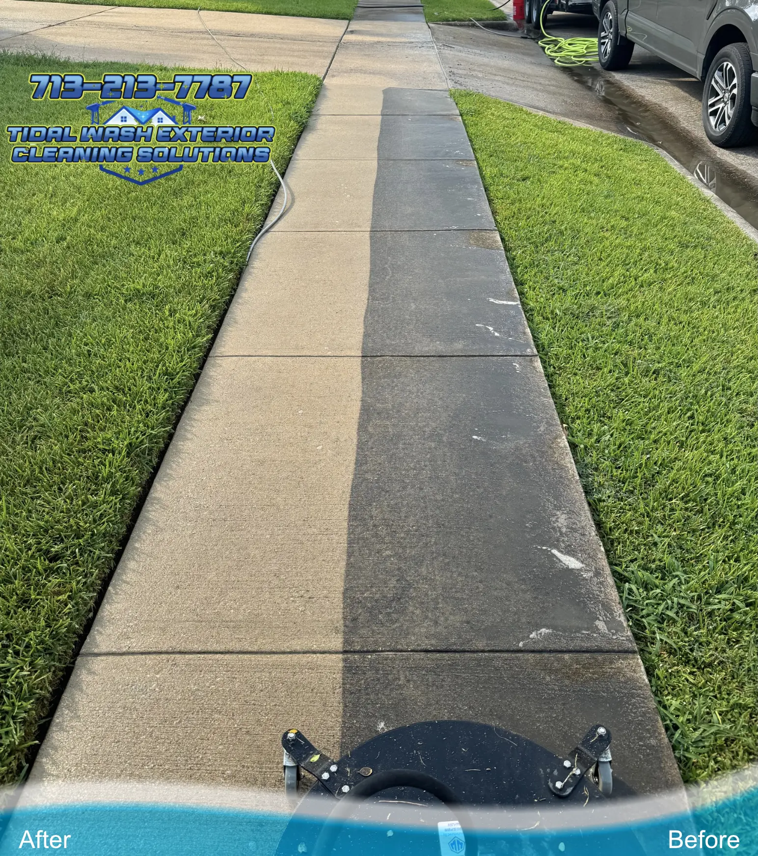 Split photo of sidewalk in Pearland TX showing heavy organic growth and cleaned surface after pressure washing