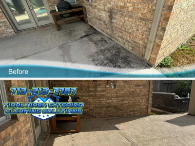 Patio Brick Softwash – Before & After Comparison