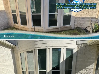 Before and After Exterior Siding & Window Cleaning
