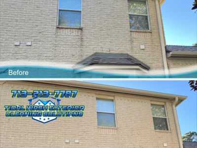 Brick Algae and Mildew Removal | Soft Wash Cleaning