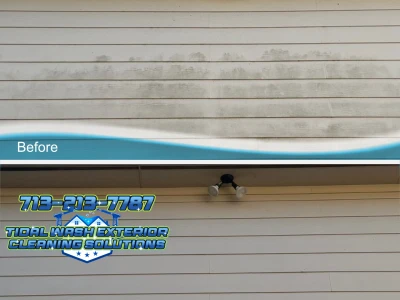 Vinyl Siding Soft Wash – Before & After Results
