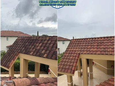 Before and after of clay tile roof showing heavy growth removed in League City HOA