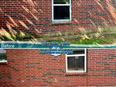 Before-and-after brick exterior and lower concrete slab cleaning with visible organic growth.