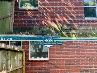 Before-and-after brick window edge and lower concrete slab cleaning for organic buildup.