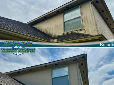 Dickinson rear Hardie board siding before and after soft washing for visible organic growth