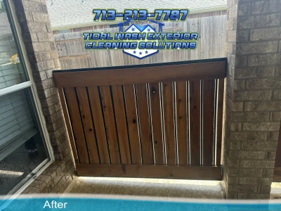 Wood fence after organic growth soft washing and sealer application in Pearland